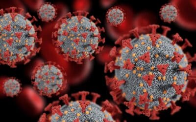 On Your November Ballot: Prop 38 Would Allocate $8.4 Billion to Immunology and Immunotherapy Funding